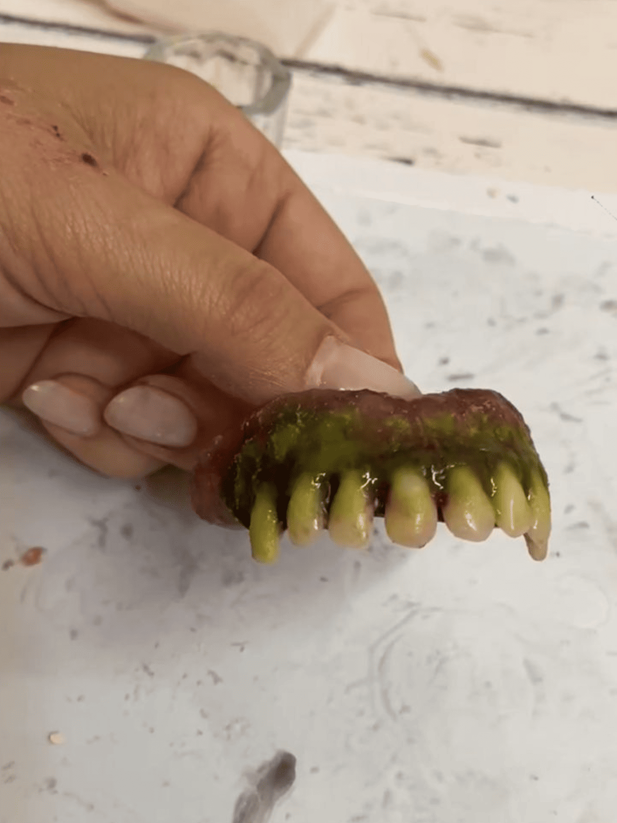 curso fx protese dentaria scarlleth moura (1)