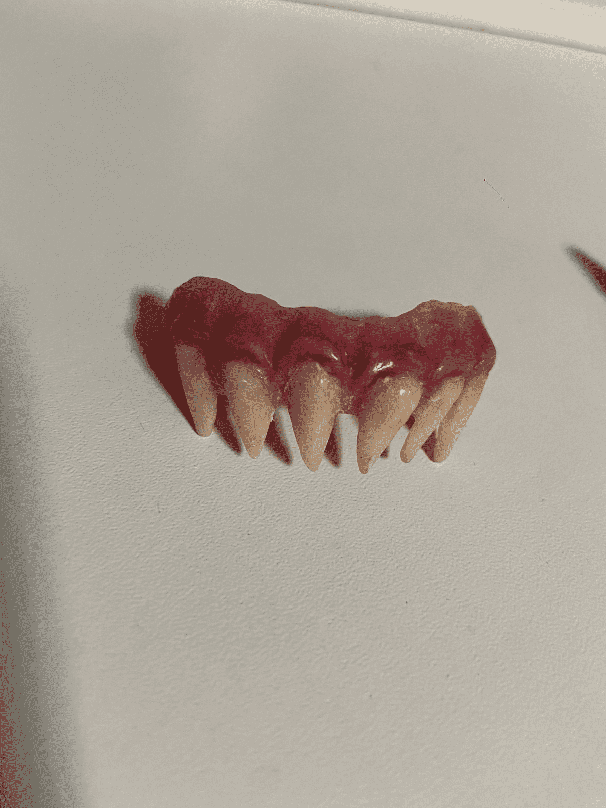 curso fx protese dentaria scarlleth moura (3)